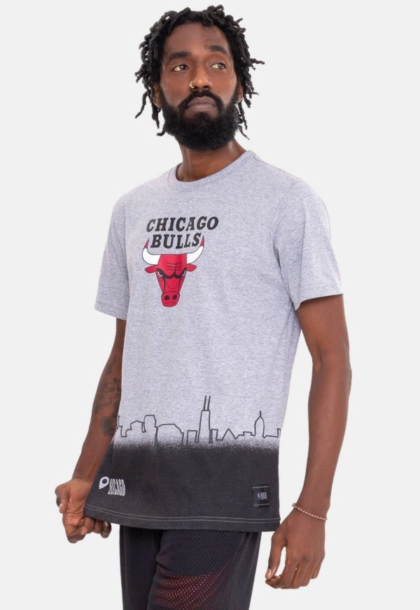 Camiseta NBA Landscape City Chicago Bulls Cinza Mescla