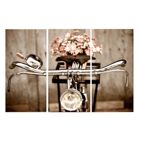 Conjunto Com 3 Quadros Decorativos Bike Bege