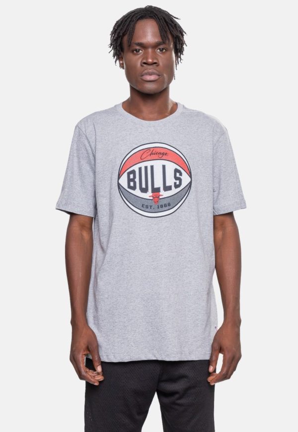 Camiseta NBA Masculina Basket Chicago Bulls Cinza Mescla