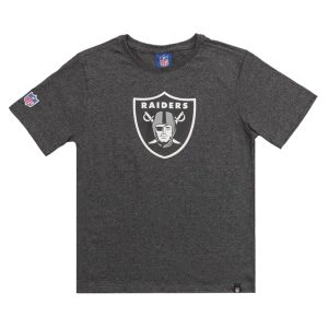 Camiseta Nfl Juvenil Las Vegas Raiders Shield Cinza